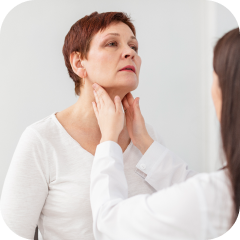 Endokrinologie