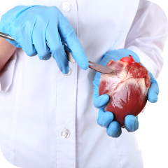 Herzchirurgie