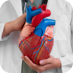 Kardiovaskuläre Chirurgie 
