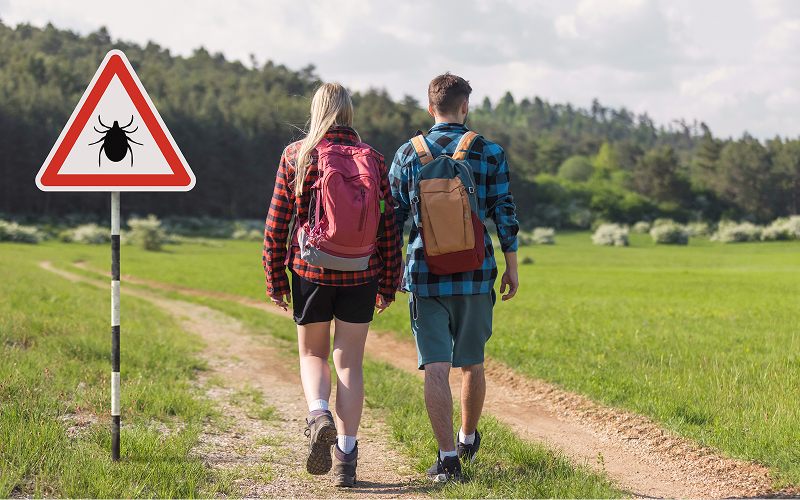 Borreliose: Symptome, Diagnose und Behandlung